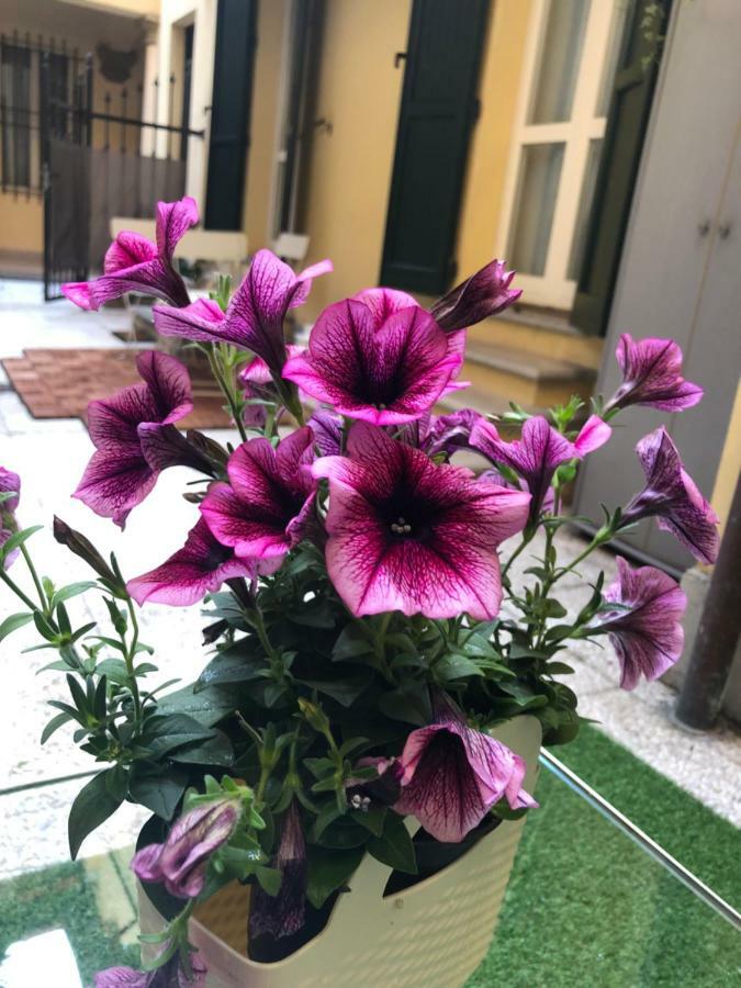 Le Palme Apartment Bologna Ngoại thất bức ảnh